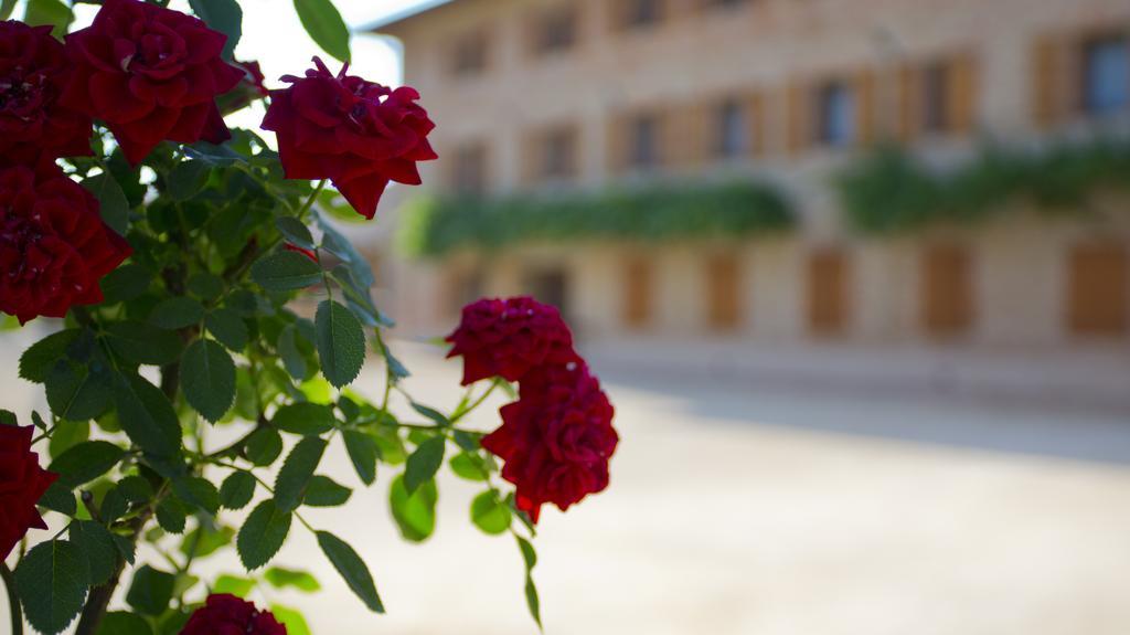 Ca' Muliner Hotel Azzano Decimo ภายนอก รูปภาพ